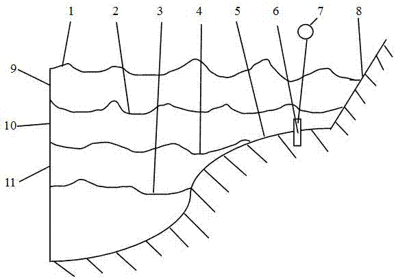 Method for cultivating intertidal zone seawater plankton