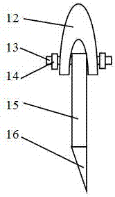 Method for cultivating intertidal zone seawater plankton