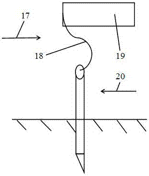 Method for cultivating intertidal zone seawater plankton