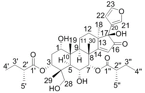 Novel limonin compound as well as preparation method and medical application thereof