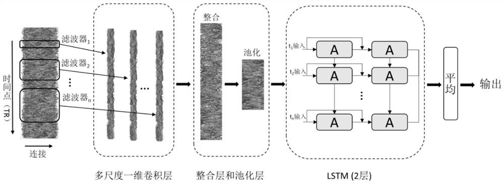 Individual cognitive ability prediction method and system based on dynamic function connection