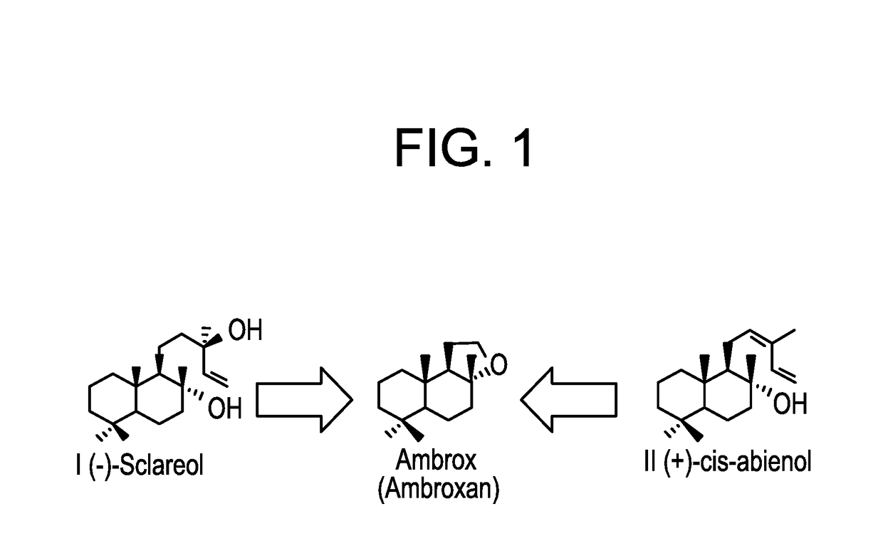 Methods for producing abienol