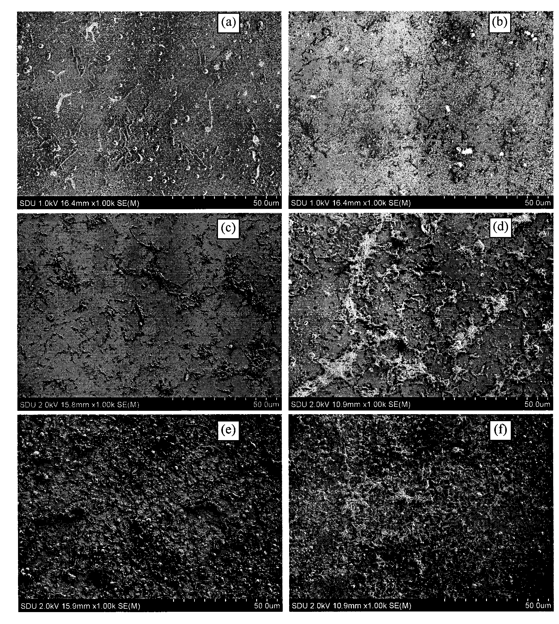 Hydroxylapatite-bioglass film and preparation technology thereof