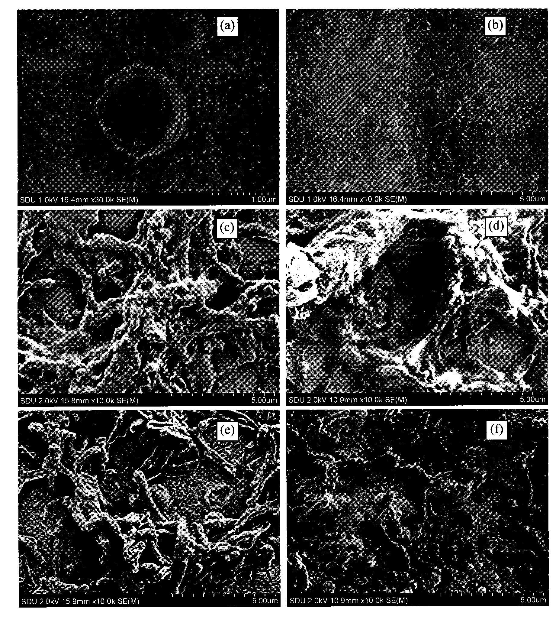 Hydroxylapatite-bioglass film and preparation technology thereof