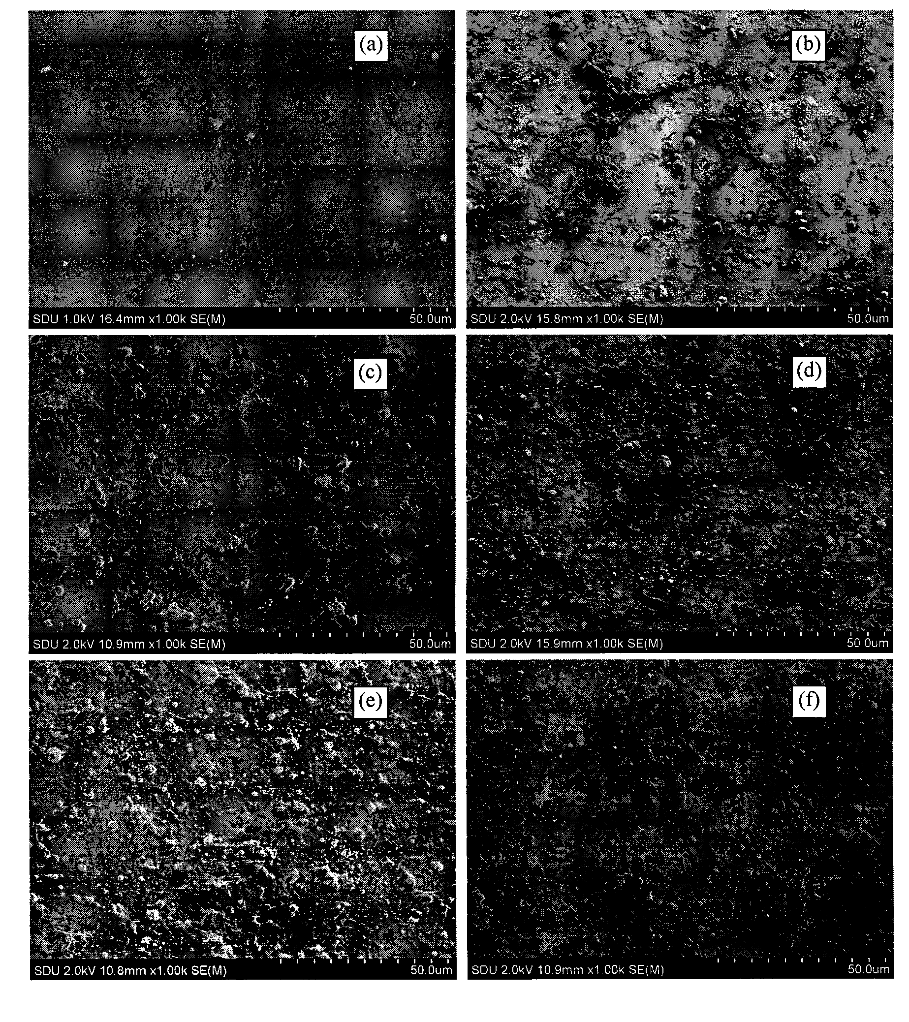 Hydroxylapatite-bioglass film and preparation technology thereof