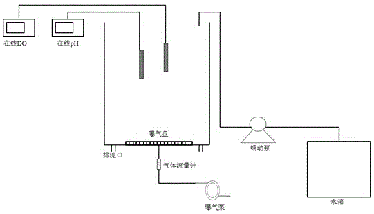 Rapid domesticating and enriching method of alkali-resisting sulfur oxidizing bacteria for biogas biological desulfurization