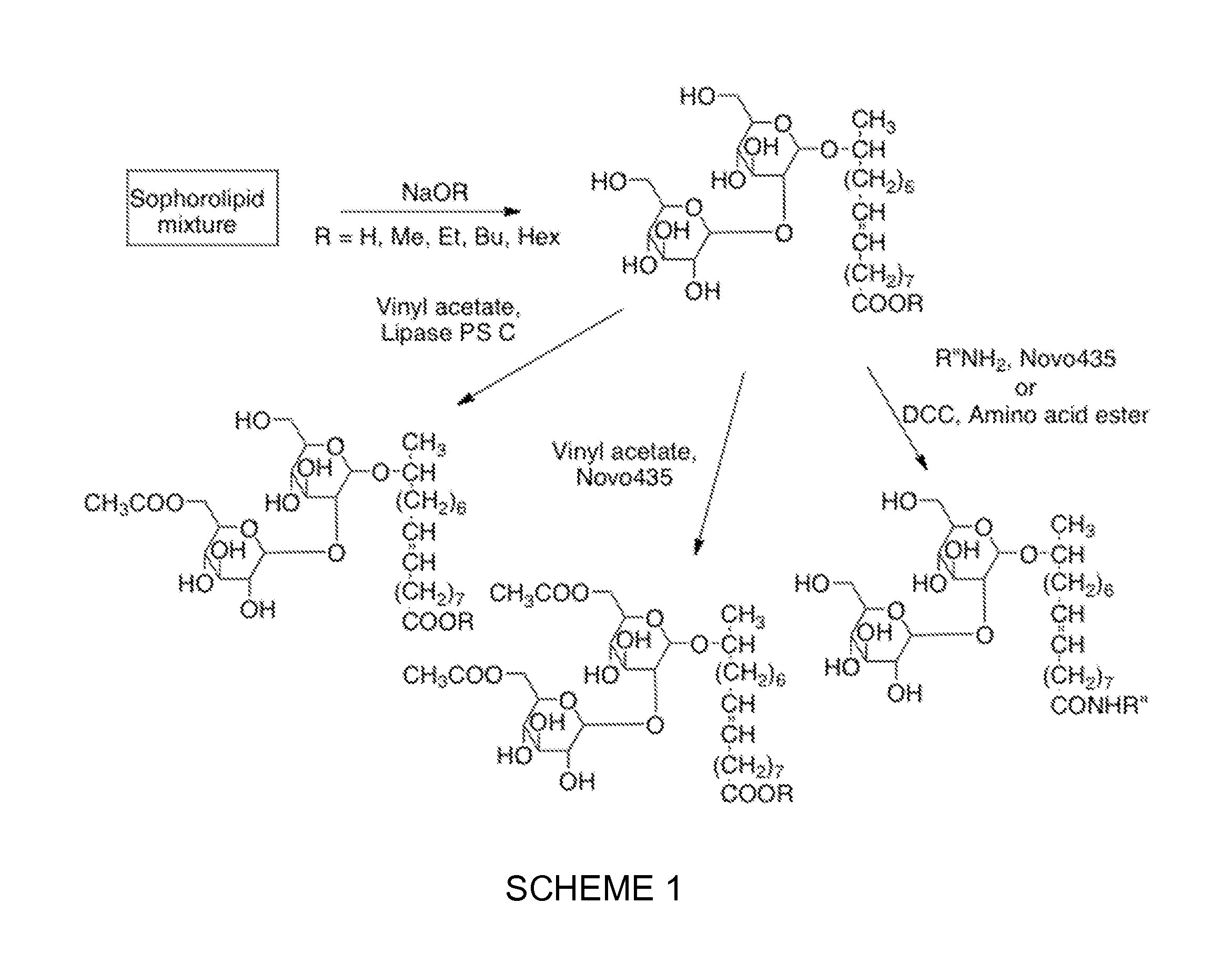 Sophorolipid Analog Compositions