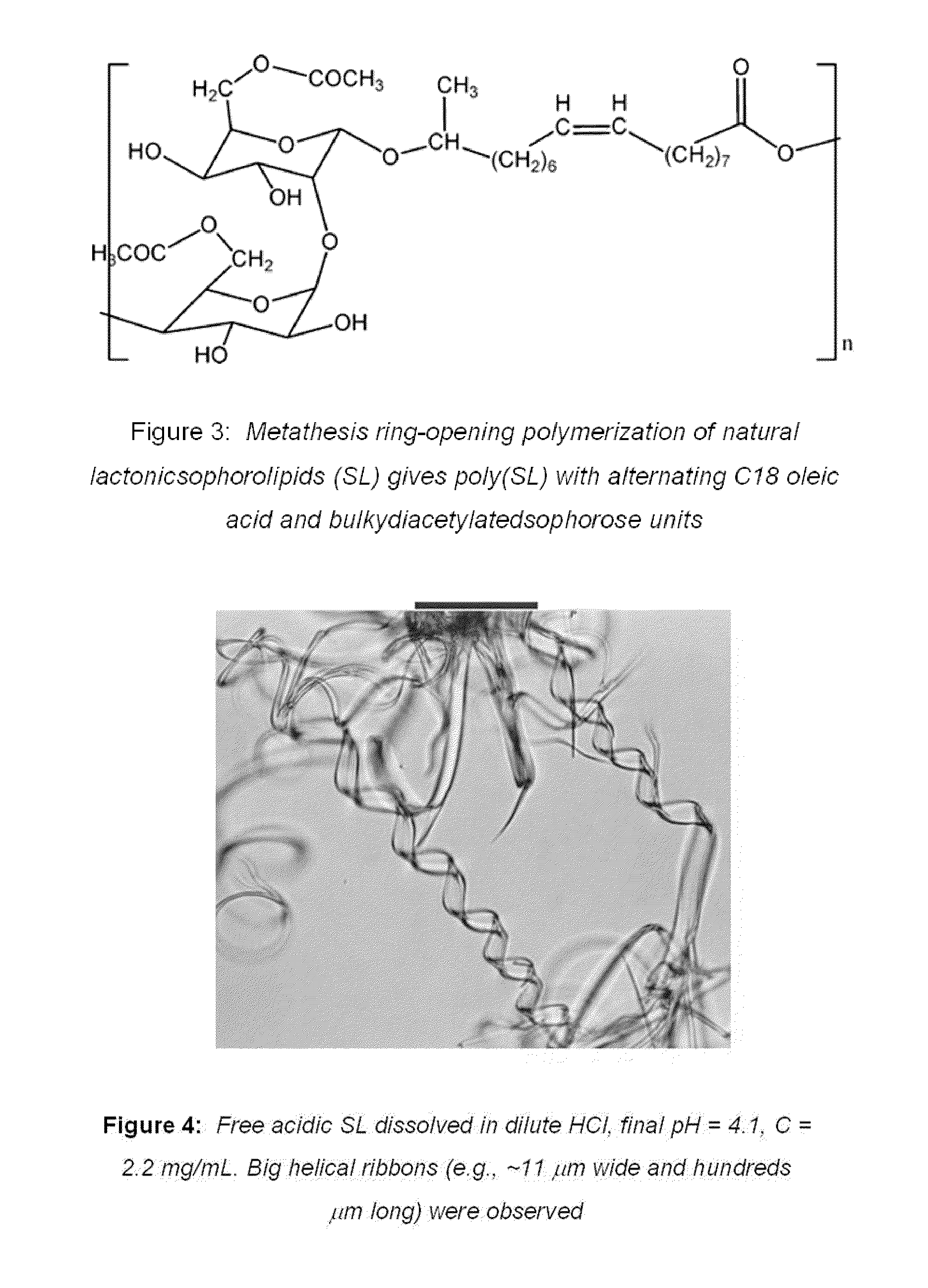 Sophorolipid Analog Compositions