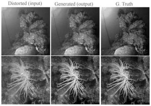 Underwater image real-time enhancement method based on conditional generative adversarial network