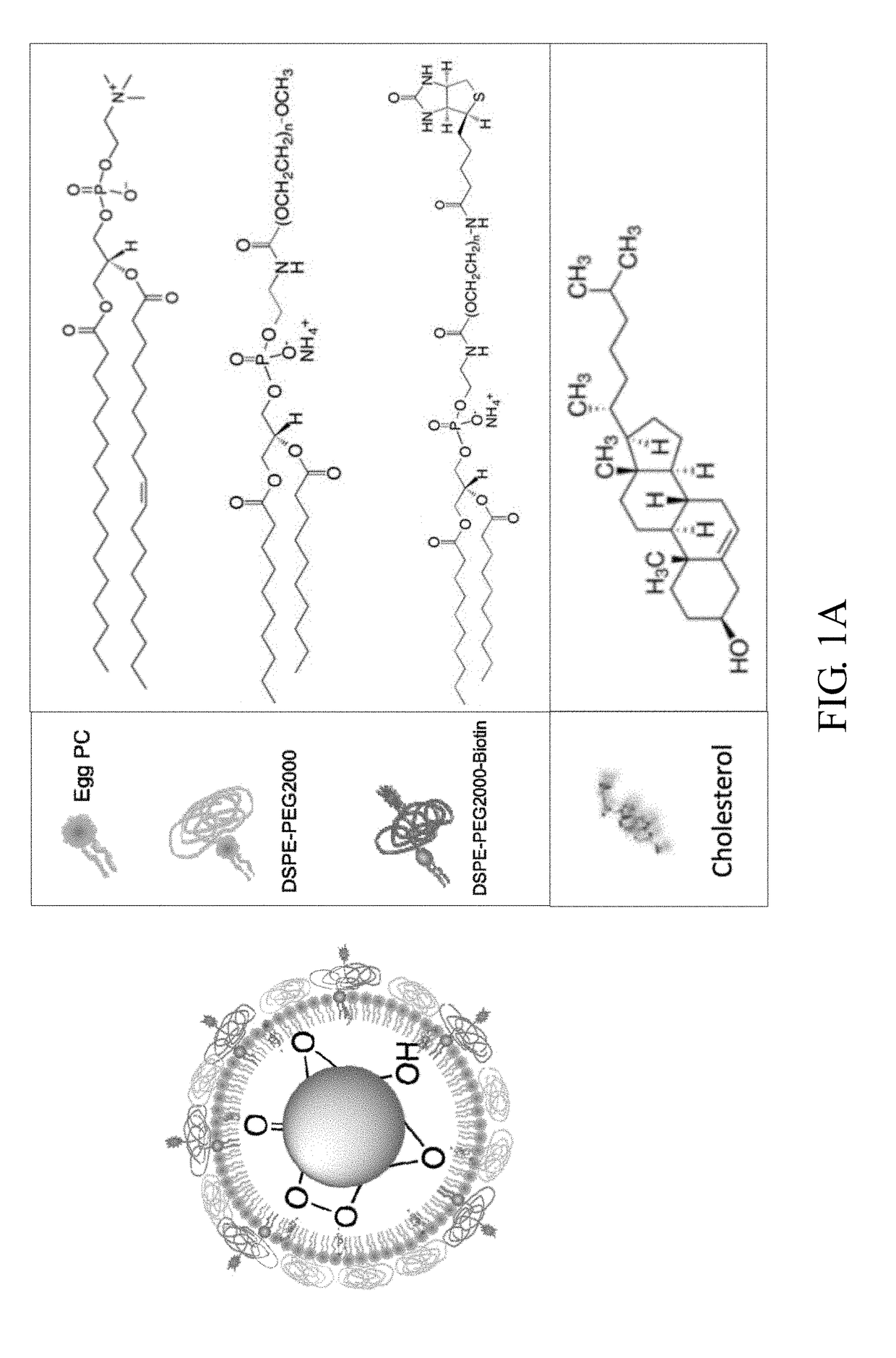 Encapsulated functionalized diamond crystal