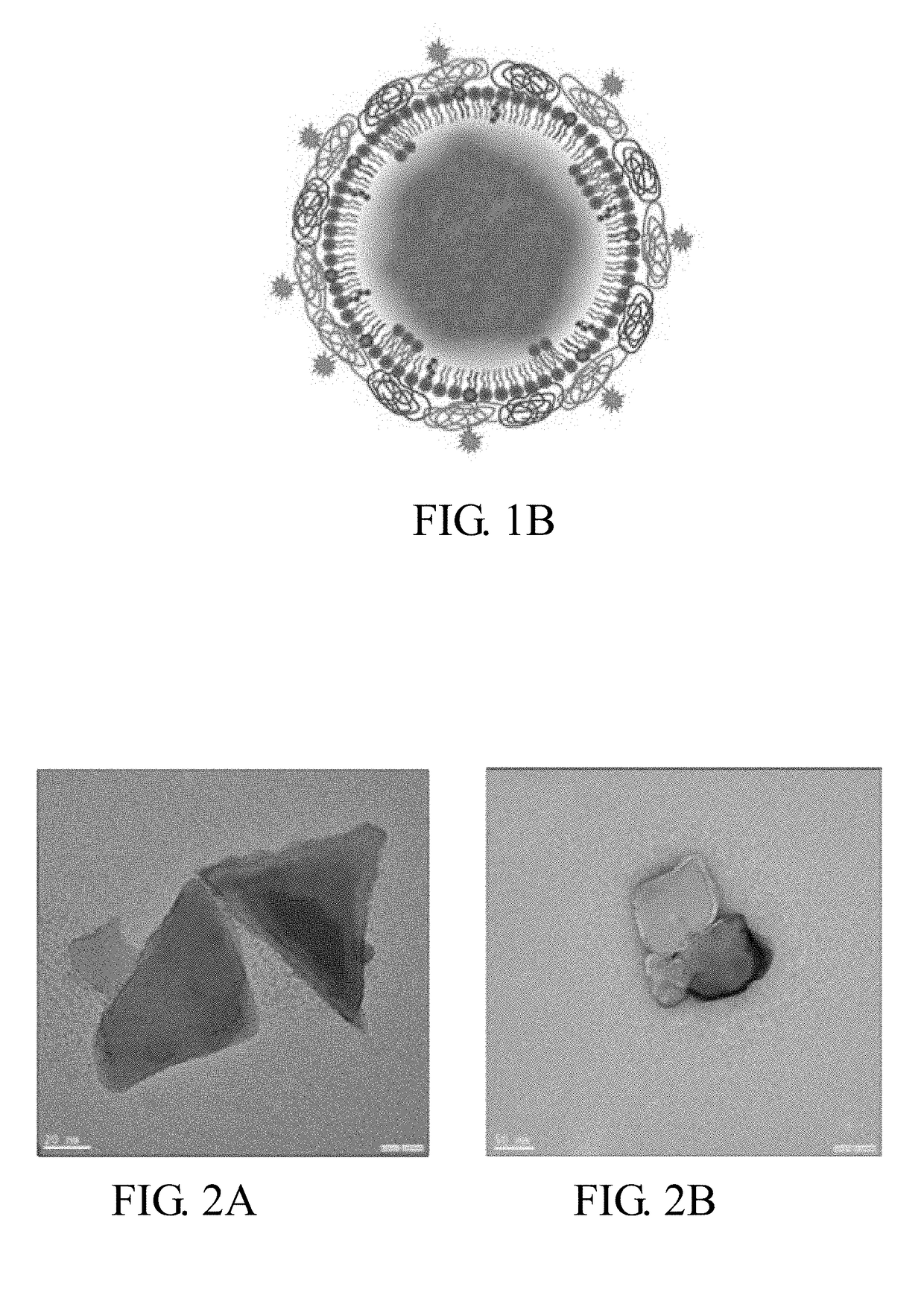 Encapsulated functionalized diamond crystal