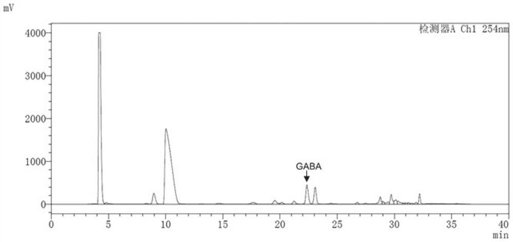 Human-derived enterococcus avialis capable of producing gamma-aminobutyric acid and application of human-derived enterococcus avialis