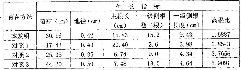 Method for promoting culture of cyclobalanopsis glauca (Thunb.) Oerst. seedlings