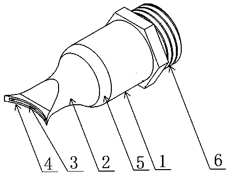 Spraying nozzle for removing fish scale through water jet flow