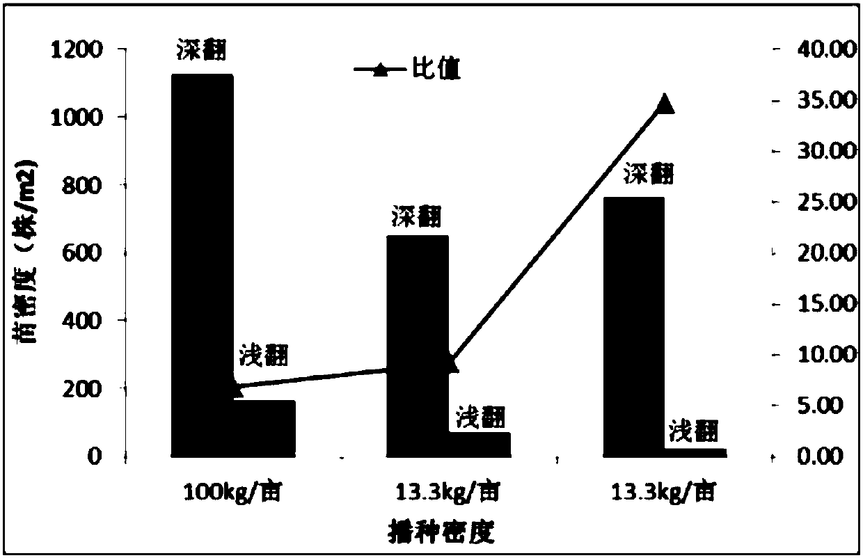 Red Beach wetland saline-alkali soil suaeda heteroptera ecological repair method