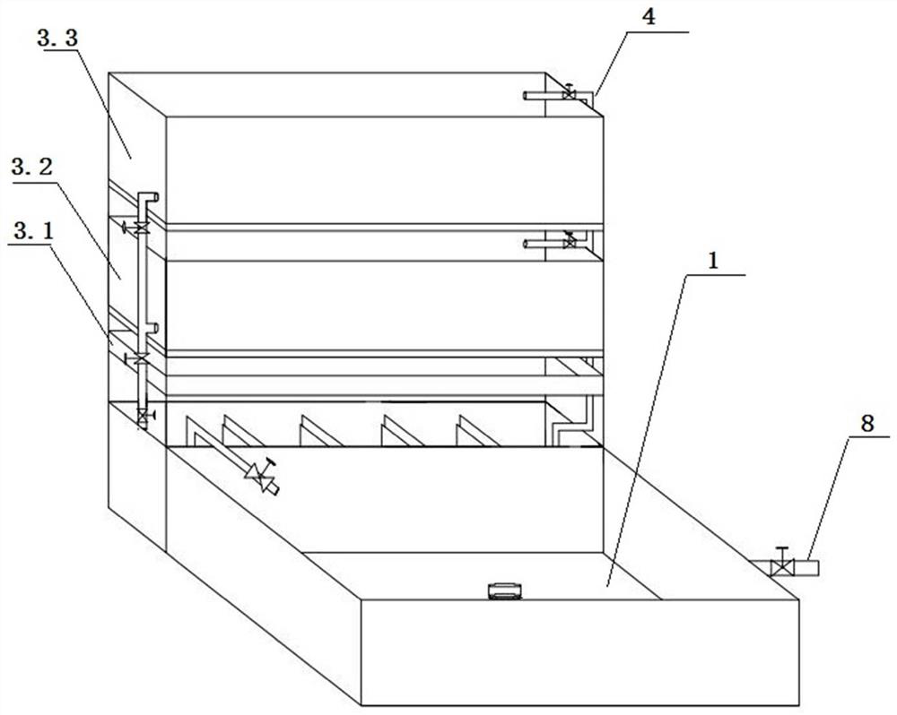 Cyprinus carpio haematopterus and vegetable symbiotic circulating aquaculture system and method