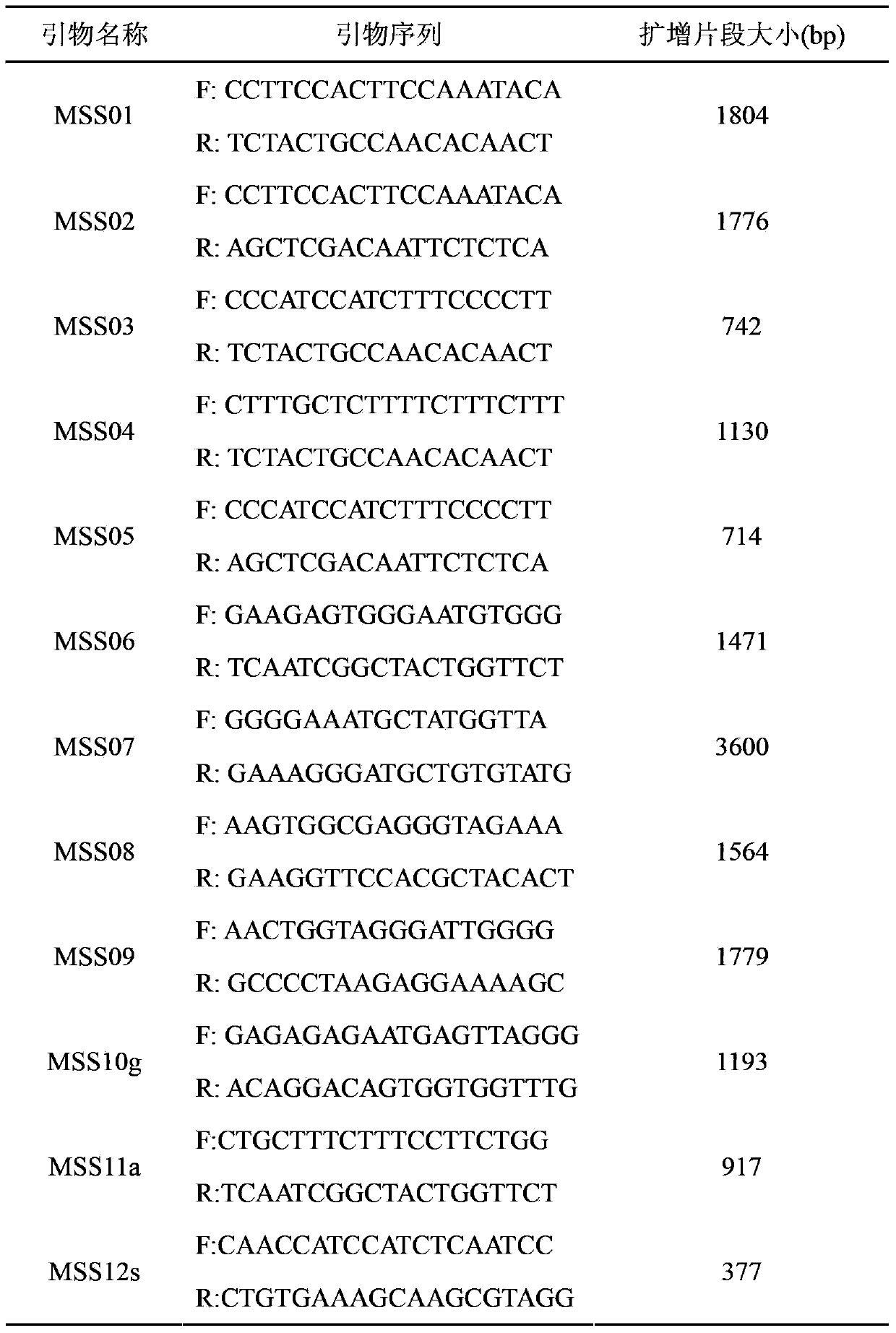 Method as well as molecular marker and primer for identifying rice male sterility type and three-line hybrid rice type