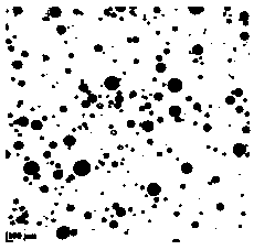 Probiotic liquid preparation based on double-emulsion structure and preparation method thereof