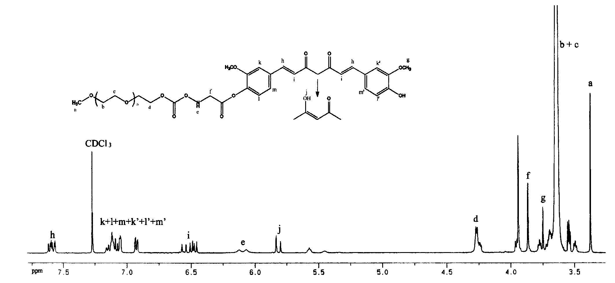 Conjugate conjugated from polyethylene glycol and curcumin derivative