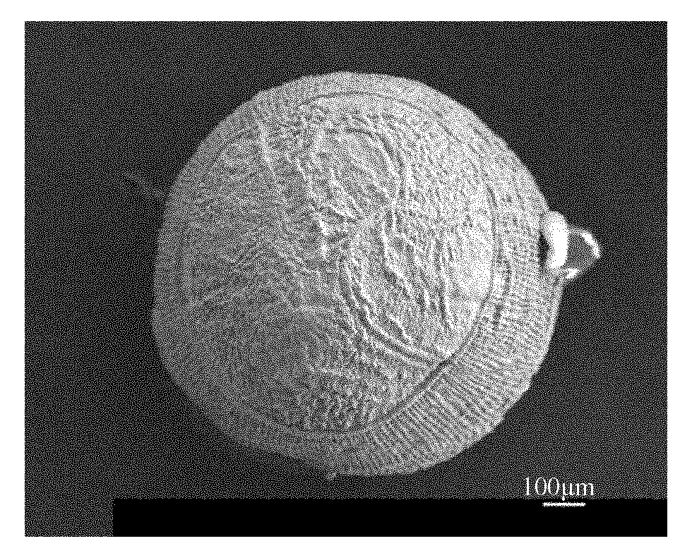 Method for preparing magnetic chitosan microspheres