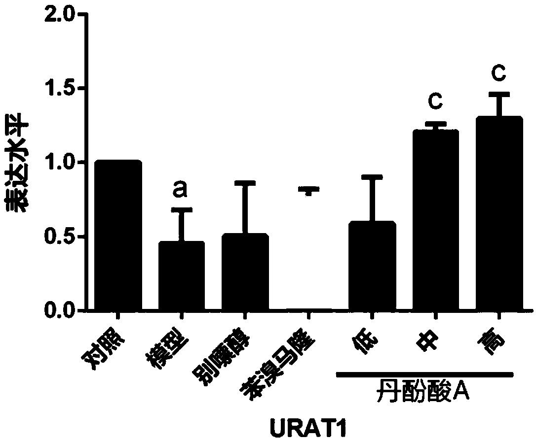 Application of salvianolic acid A to preparation of hyperuricaemia and gout resisting drugs