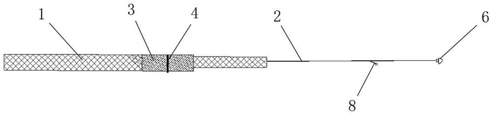 Wind power blade lightning protection system and lightning protection wind power blade