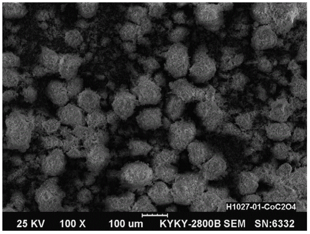 Cobalt powder and preparation method thereof, cobalt oxalate precursor and preparation method thereof