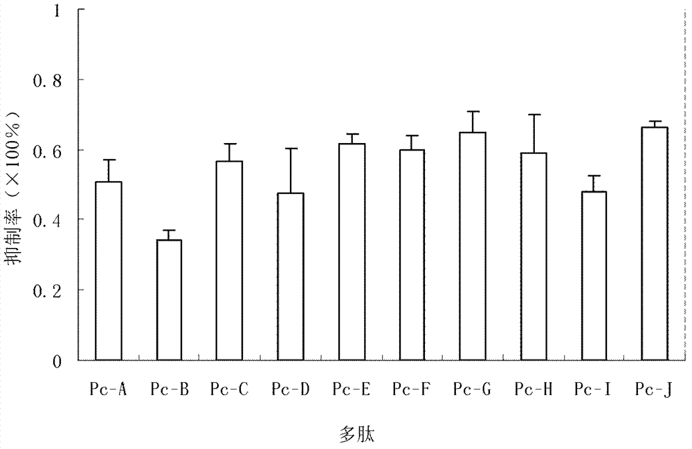 Peptides inhibiting adhesion of aspergillus fumigatus to cornea