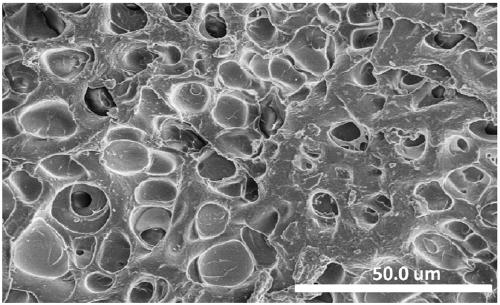 A polymer composite self-healing hydrogel based on nano-thin molybdenum disulfide sheet and its preparation method