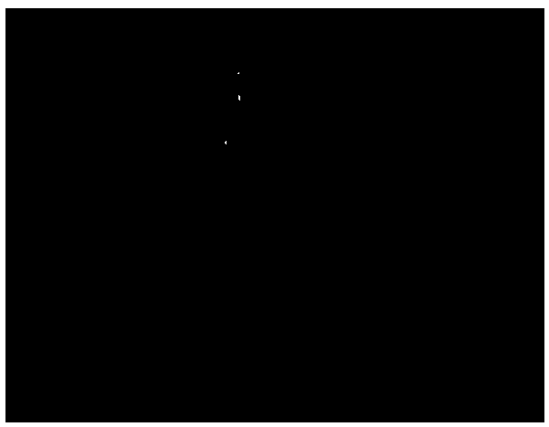 Pinhole camera detecting method based on binocular detection