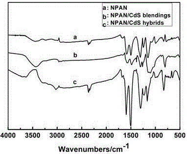 Preparation method of N-substituted carboxyl polyaniline/cadmium sulfide quantum dot composite material