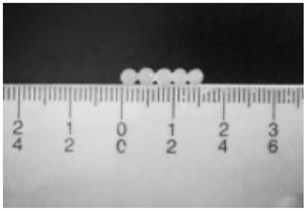 Preparation method of biocontrol bacterium immobilized microspheres optimized by response surface methodology and calculation method of embedding rate of biocontrol bacterium immobilized microspheres