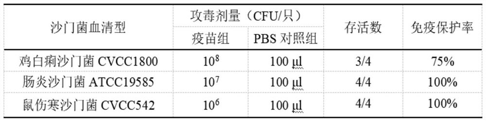 Preparation method and application of salmonella inactivated vaccine