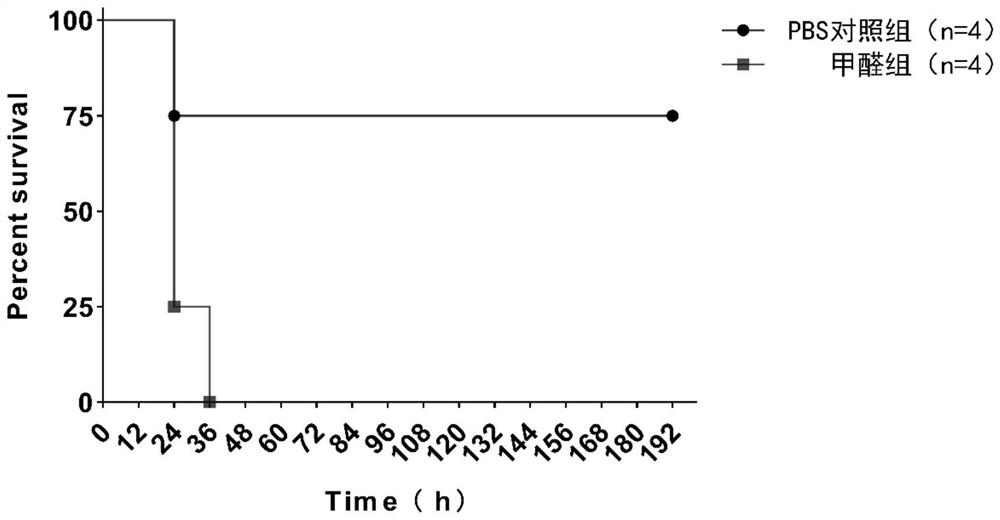 Preparation method and application of salmonella inactivated vaccine