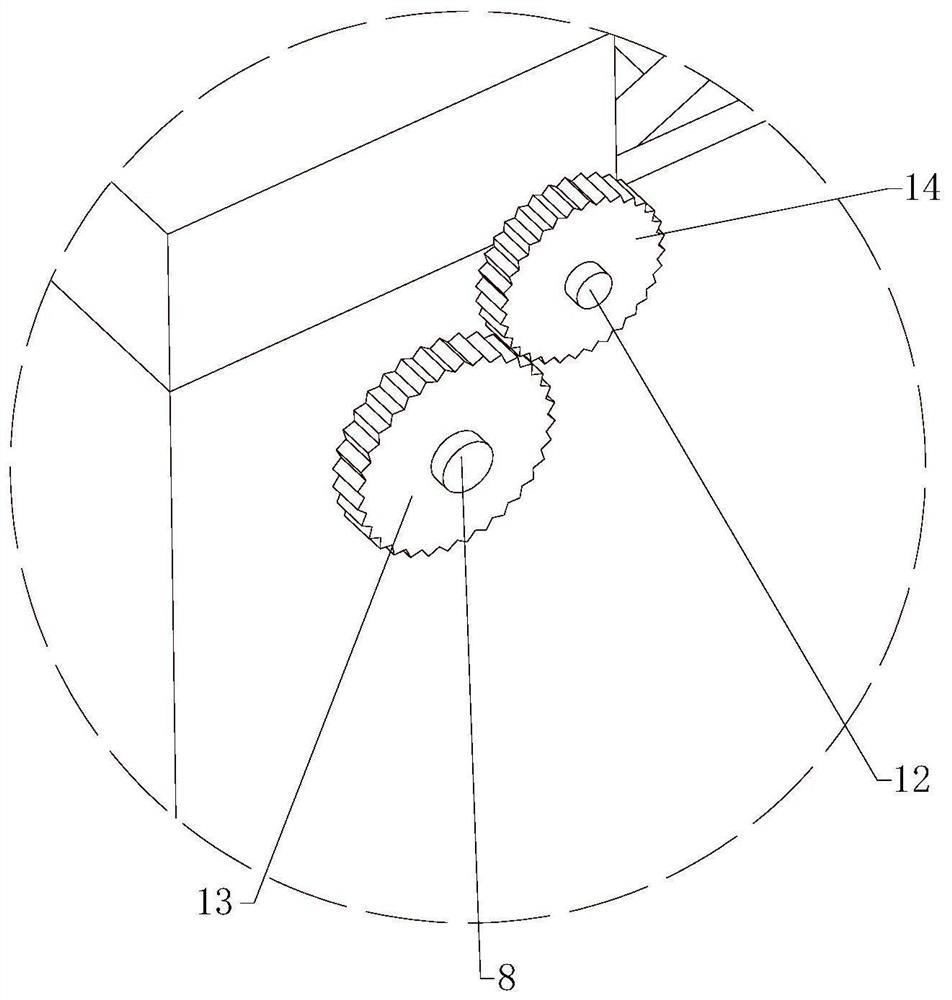 Feeding and excrement collection system for fish cage culture