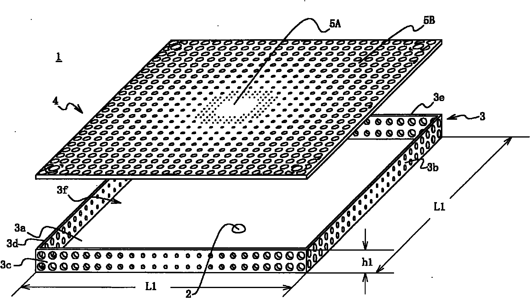 Light source device and surface illuminating device using same light source device