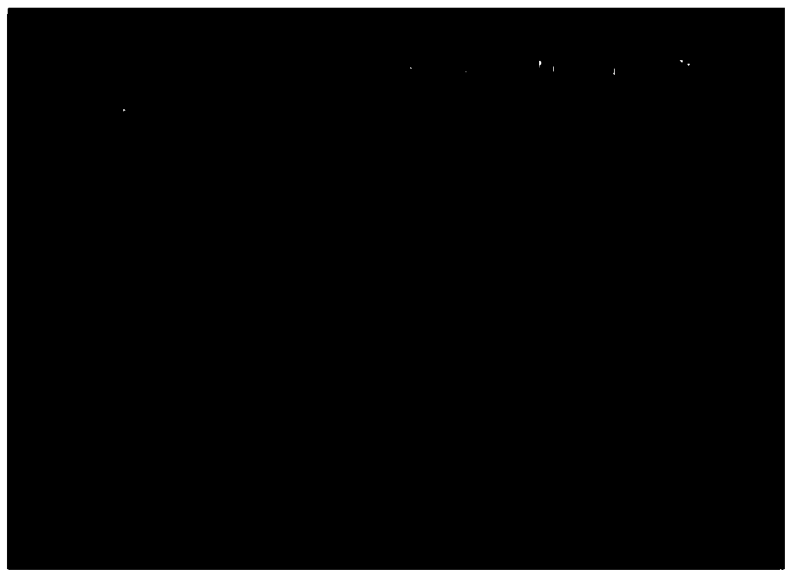 Method for detecting in-vitro activity of recombined human interleukin-12 by using cell with interleukin-12 receptor and application