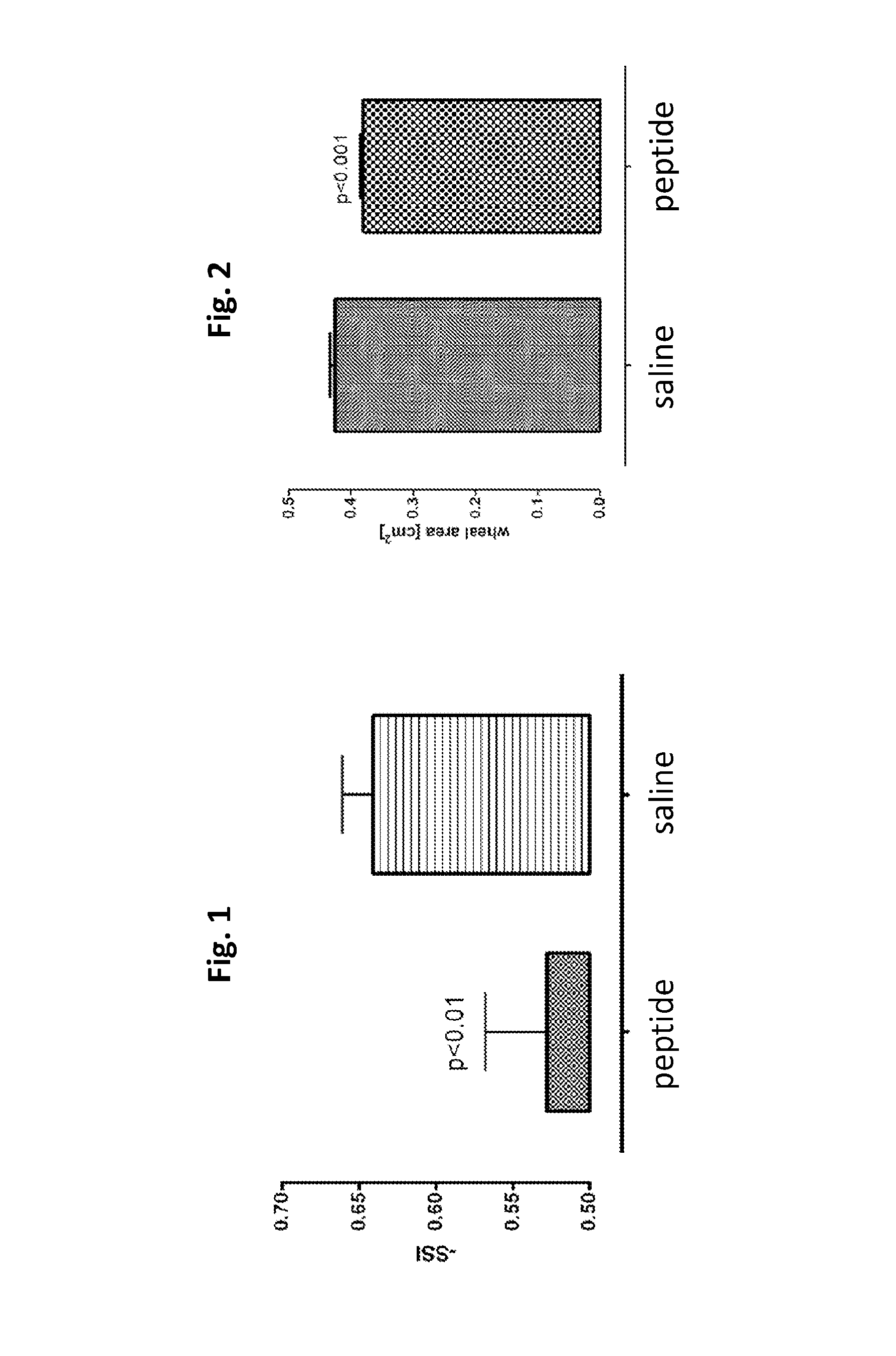 Tissue protective peptides and peptide analogs for preventing and treating diseases and disorders associated with tissue damage