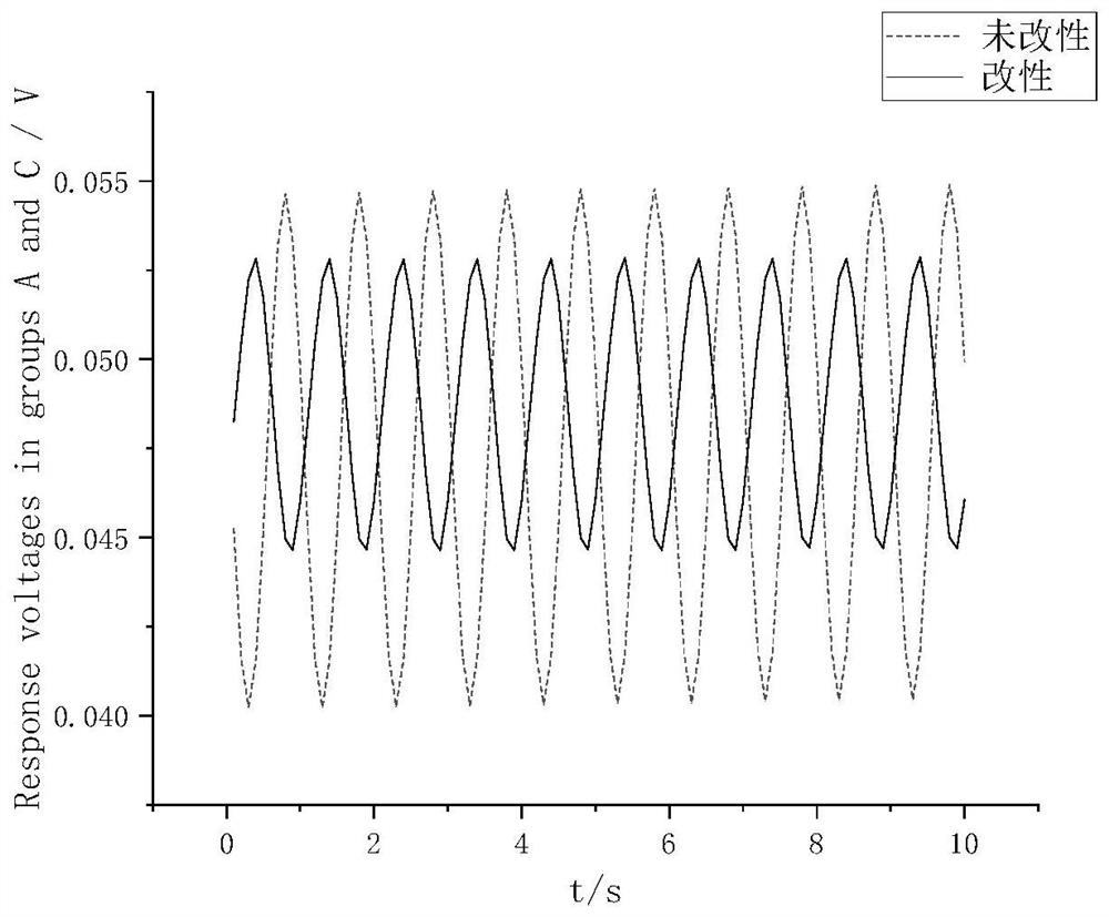 Carbon fiber electrode and preparation method for low-frequency ocean electric field detection