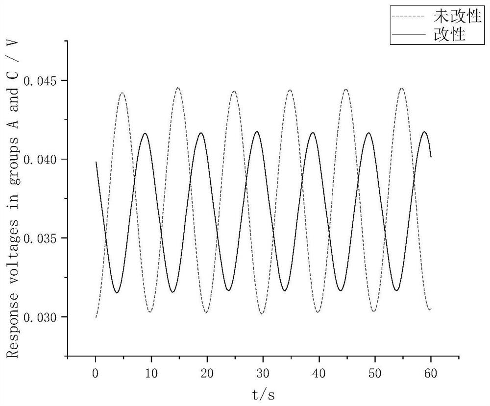 Carbon fiber electrode and preparation method for low-frequency ocean electric field detection