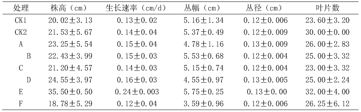 The method of inoculating arbuscular mycorrhizal fungi to promote the growth of white hemp