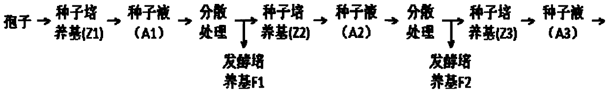 A kind of Aspergillus niger seed continuous culture and method for producing citric acid thereof