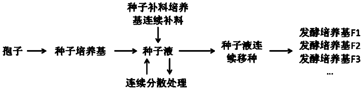 A kind of Aspergillus niger seed continuous culture and method for producing citric acid thereof