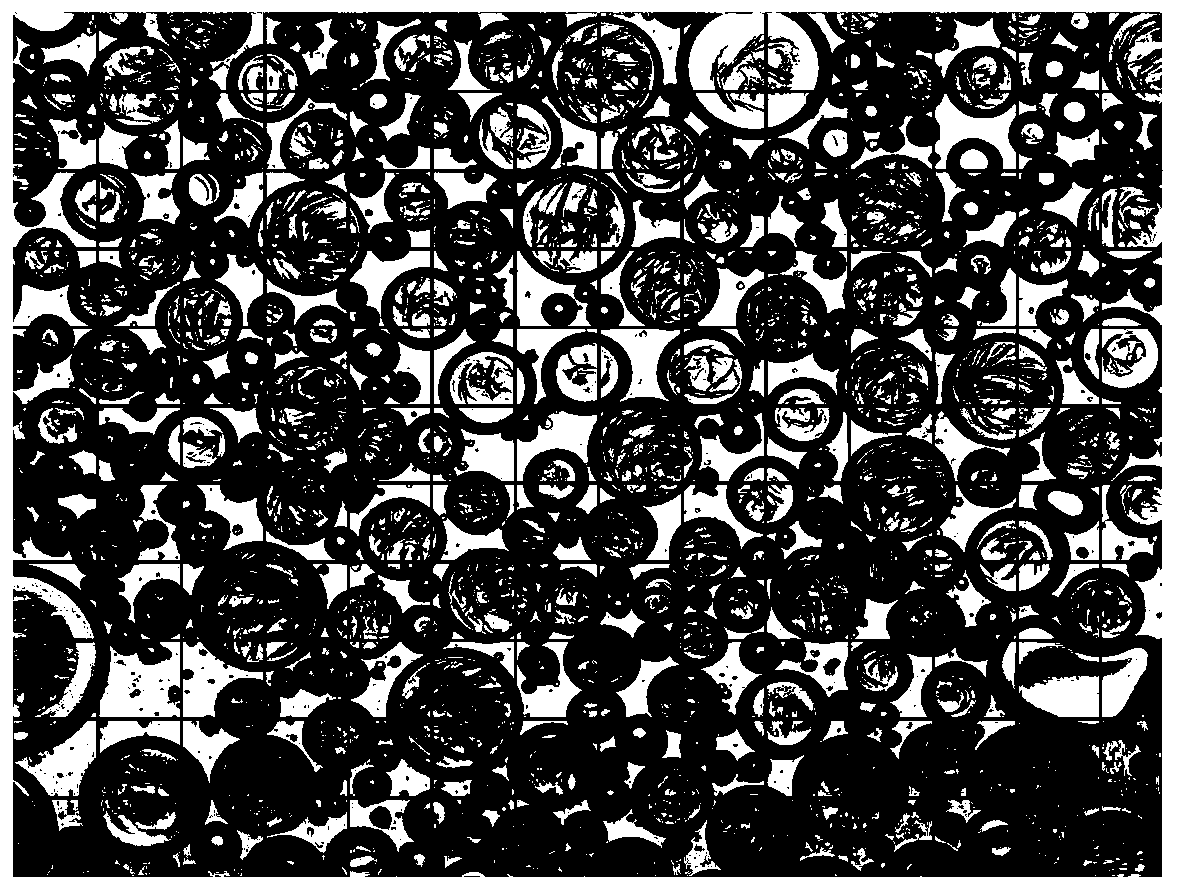 Device and method for preparing pre-foamed microcapsules