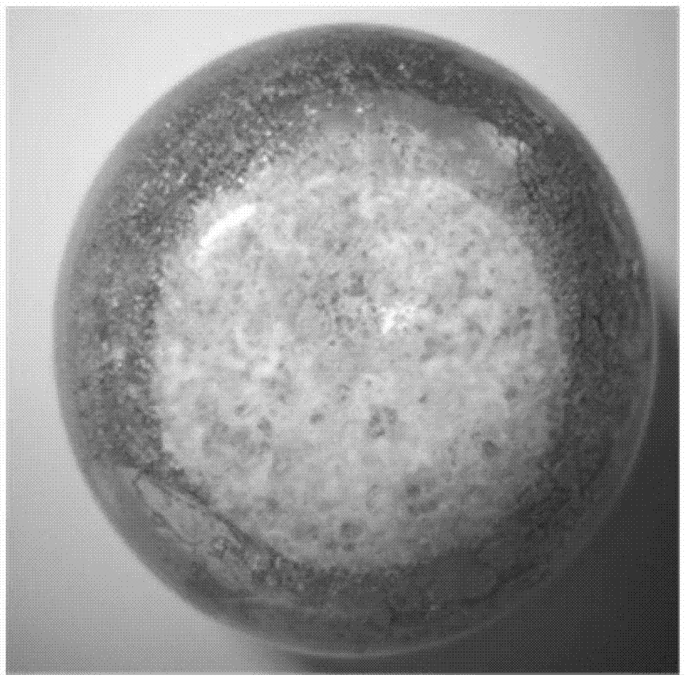 Qualitative analysis method for latex doped substances