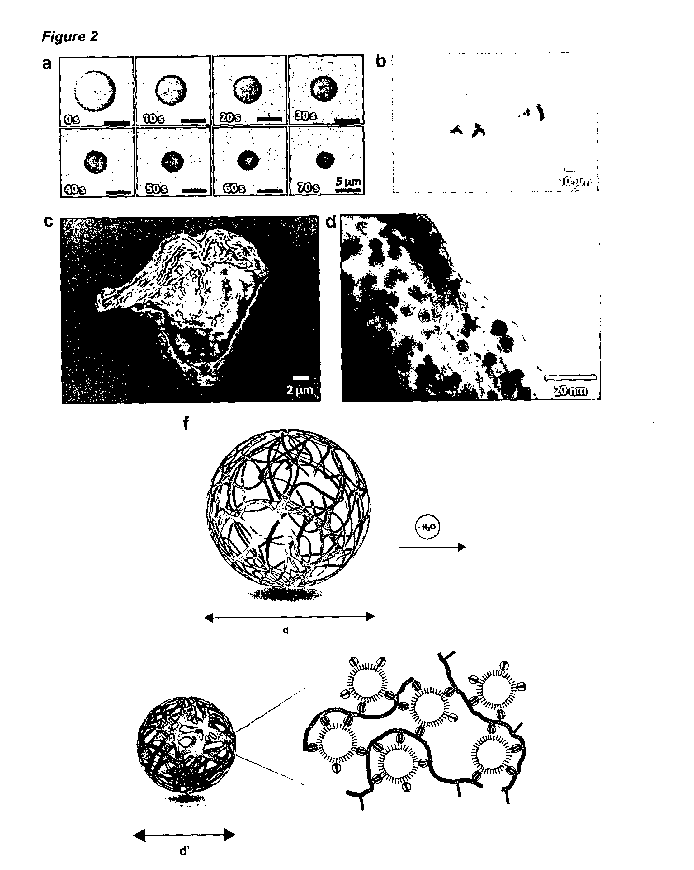 Supramolecular capsules