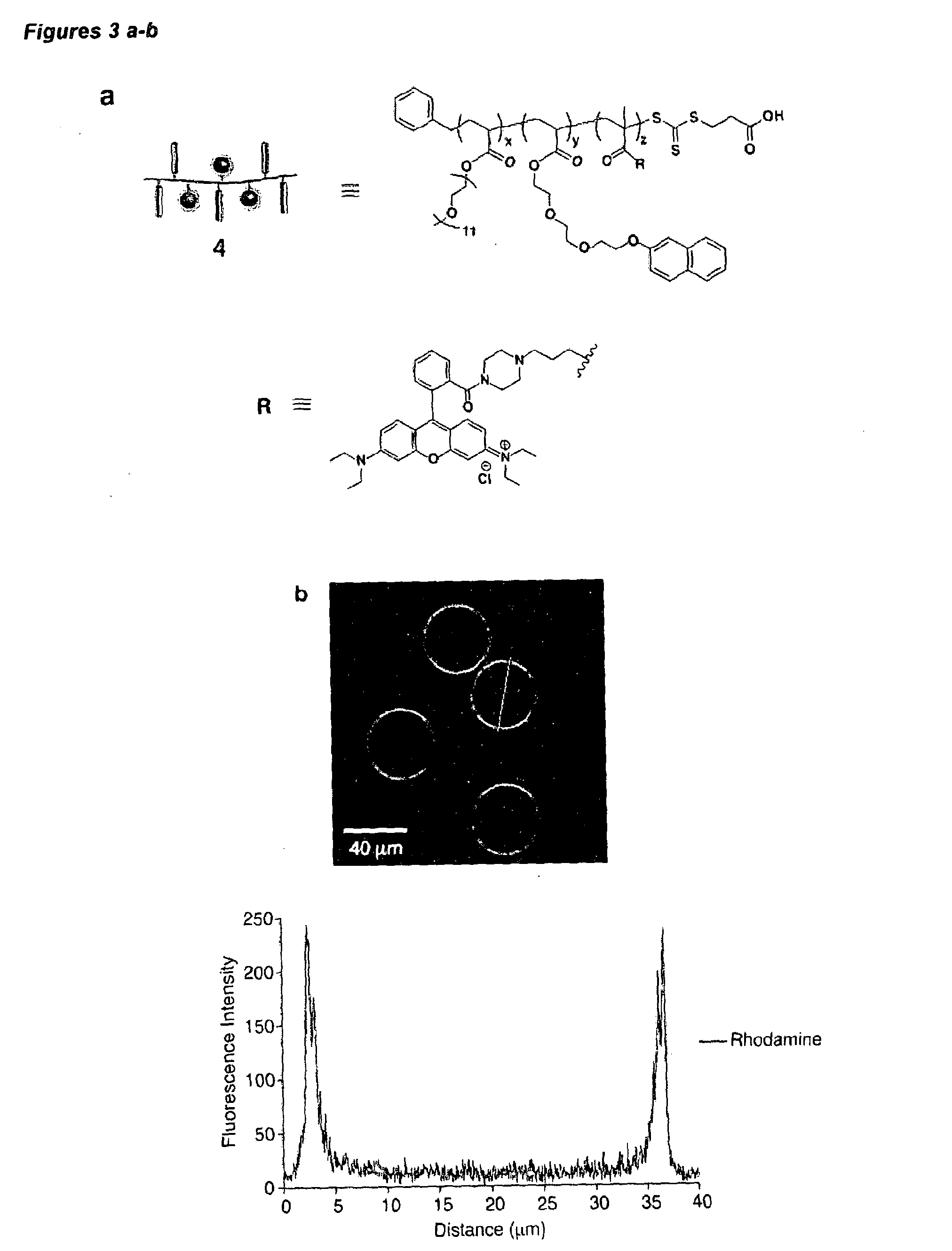 Supramolecular capsules