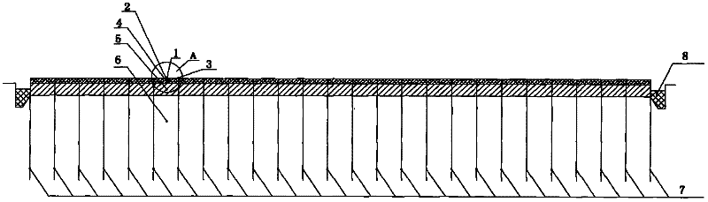 Method for solidifying and processing soft soil foundation by draining water from plant cushion layer in vacuum