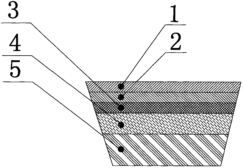 Method for solidifying and processing soft soil foundation by draining water from plant cushion layer in vacuum