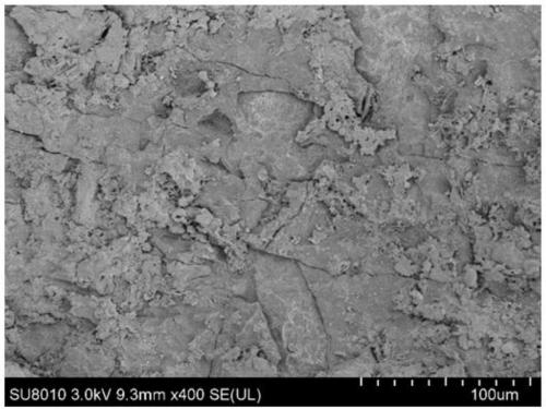 Method for preparing Ti/SnO2-Sb (titanium/tin dioxide-antimony) electrode by tricarboxylic organic acid-Sn(II)/Sb(III) complex